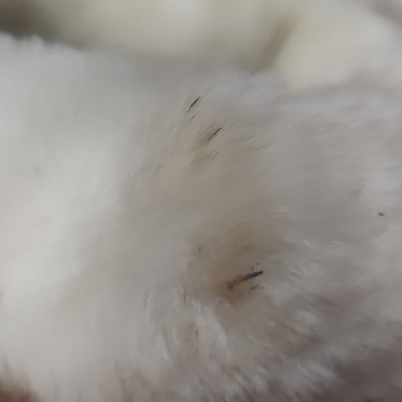 Vtg Gallery Leather Women's Tan Shearling Jacket Size XS - Picture 6 of 7